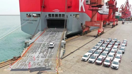 Professionele RORO scheepvaartdienst van China naar Maleisië
